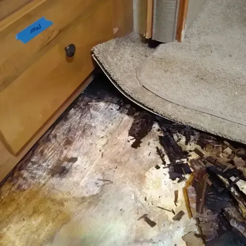 Wood Floor Water Damage in Northlake, IL